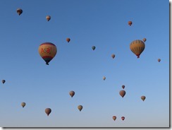 IMG_6247