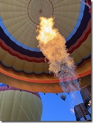 IMG_8293