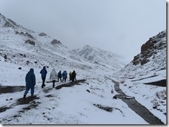 IMG_6483