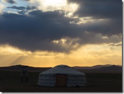 IMG_6950