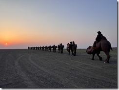 IMG_8930