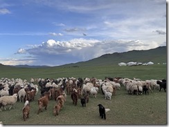 IMG_8987
