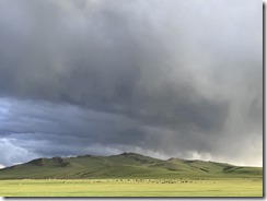 IMG_8993