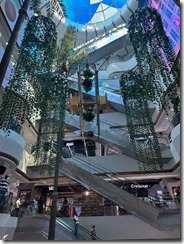IMG_9118