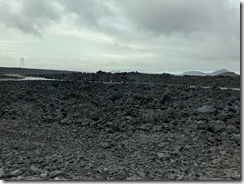 IMG_0199