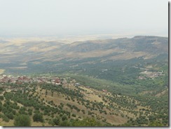 IMG_6992