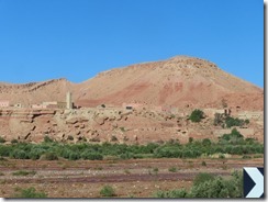 IMG_7131