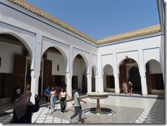 IMG_7154