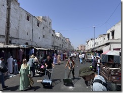 IMG_9695