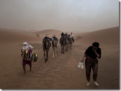 IMG_9892