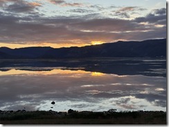 IMG_0301