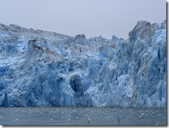 IMG_0491
