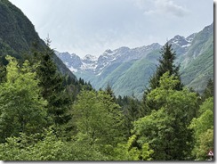 IMG_4715