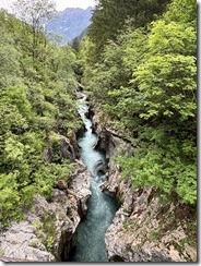 IMG_4742 2