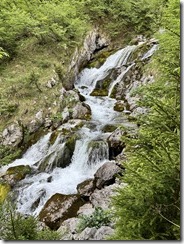 IMG_4769