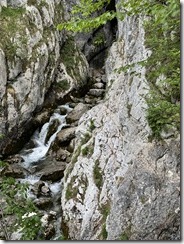 IMG_4772 2
