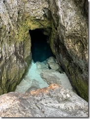 IMG_4773 2