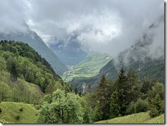 IMG_4799