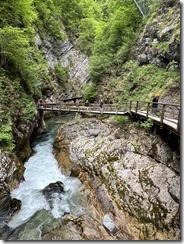 IMG_4815 2