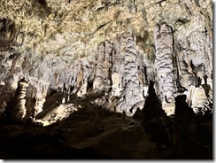IMG_4887 2