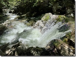IMG_5004