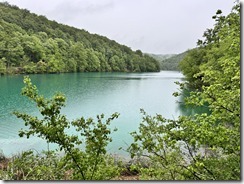 IMG_5122