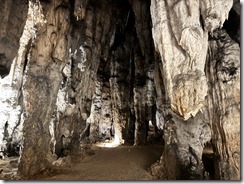 IMG_5182