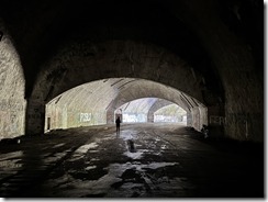 IMG_5221