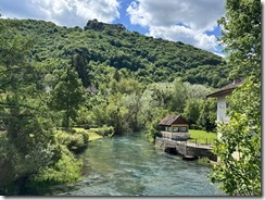 IMG_5233
