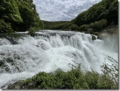 IMG_5269