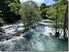 IMG_5317