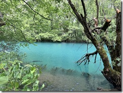 IMG_5338 2