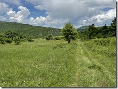 IMG_5344 2