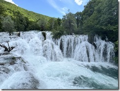IMG_5354 2