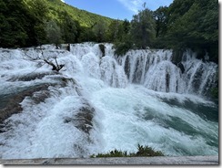 IMG_5355 3