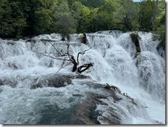 IMG_5358 2