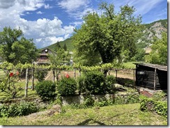 IMG_5369 2