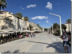 IMG_5550