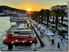 IMG_5568 2