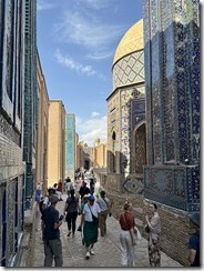 IMG_6337