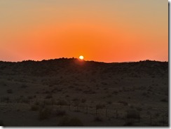 IMG_6485