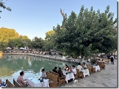 IMG_6529