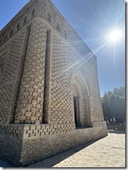 IMG_6554